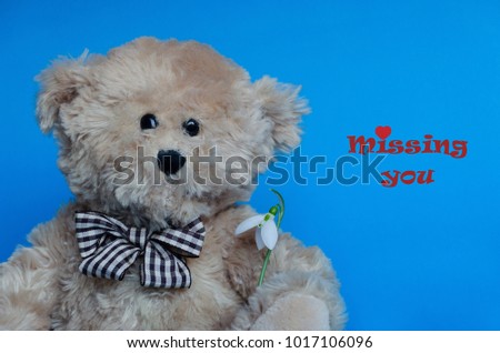 Cute teddy bear and red hearts for Valentine's Day, with text: missing you