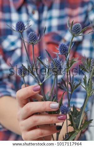woman holding blue flowers eryngium