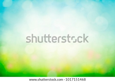 Sunny spring meadow blur background