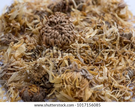 Calendula  Dried Flowers Texture. Marigold Dried Herbs Background. Homeopathy Concept