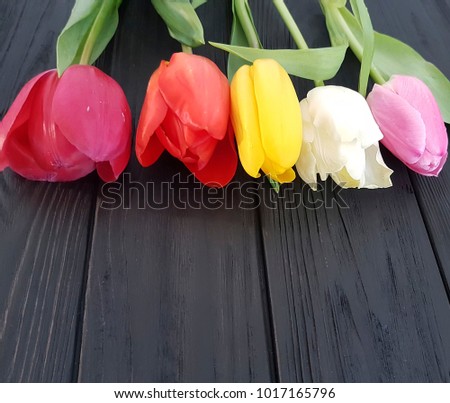tulips on black wooden, mourning, sadness, farewell
