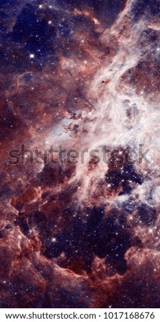 Colorfull stars nebula in outer space. Elements of this image furnished by NASA.