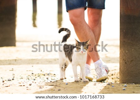 Portrait Of Young Handsome Man Smiling Outdoor playing with a cat 