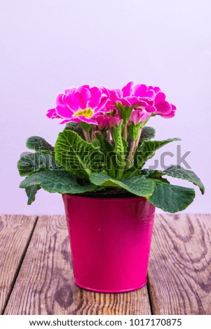 Rustic wooden table with bouquet of flowers as a mock-up or postcard. Studio Photo