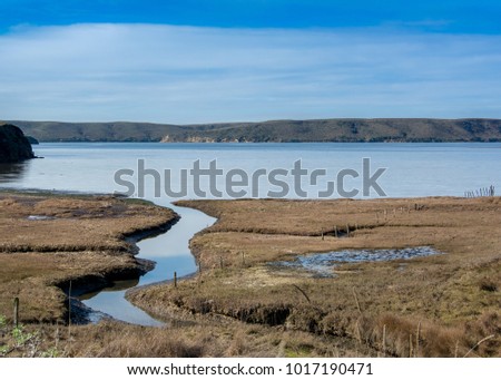Panoramic landscape of an estuary viewed from the Estero Trail, Point Reyes National Seashore, Marin County, California, USA,  on a sunny day at low tide Royalty-Free Stock Photo #1017190471