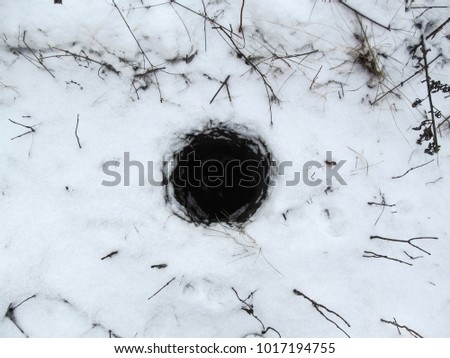 Black deep round vertical burrow in the ground among the snow in winter. Someone dug a regular geometric pit on the surface  winter lawn among dry grass and white snow