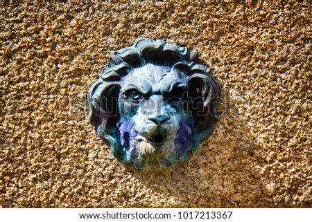 Medallions of lions fountain in the city. Relief medallion Leo