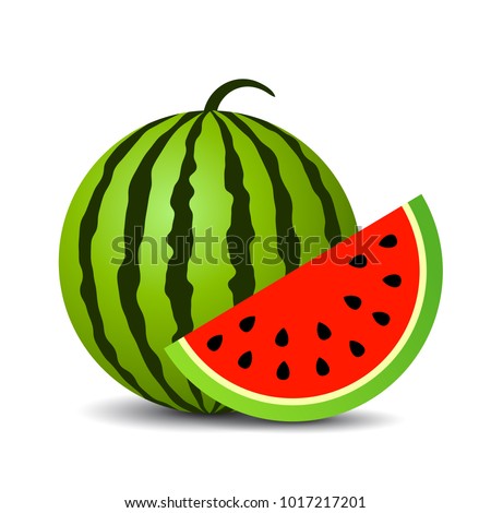 Red ripe watermelon vector icon isolated on white background