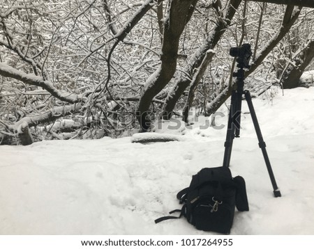 Camera on a tripod in the winter forest. Next to the camera bag for the camera.