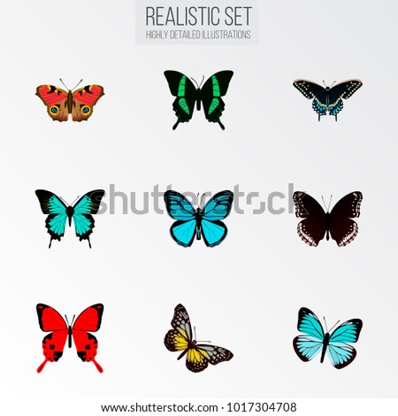 Set of butterfly realistic symbols with spicebush, precis almana, papilio ulysses and other icons for your web mobile app logo design.