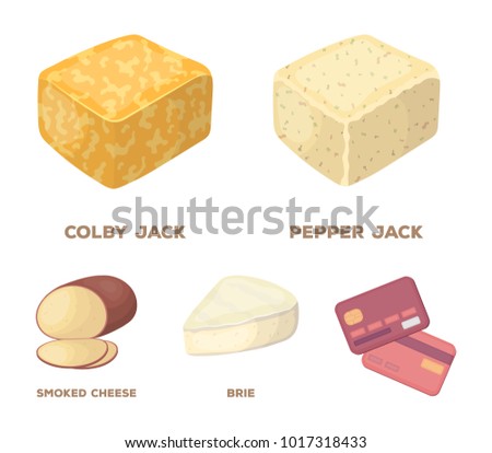 Brie, smoked, colby jack, pepper jack.Different types of cheese set collection icons in cartoon style vector symbol stock illustration web.