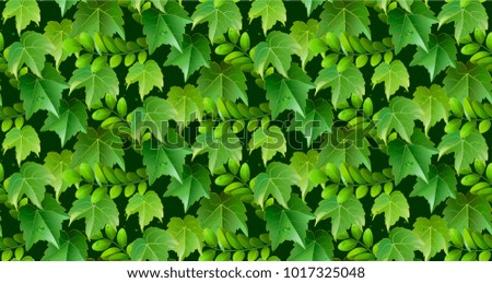 Seamless tropical leaf background for invitation greeting template of Summer. Bright tropical background with jungle plants. Exotic pattern with tropical leaves. Vector illustration.