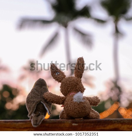 Rabbit and bird stuffed animals sitting on wall looking towards a beautiful sunset and palm trees on Big Island, Hawaii 