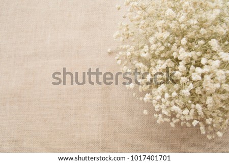 Vintage decoration the white flowers in the lovely sack background, nice picture for wedding decorations or valentines seasonal, or flowers shop, copy space for text.