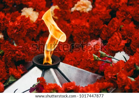 Background of red carnations, eternal fire, helmets. Concept is beginning and end of Second World War, memory of soldiers, day of victory, bloody wars.