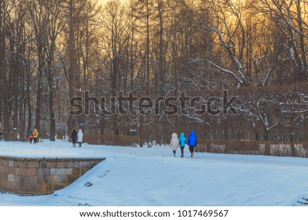 park in winter at sunset in Russia