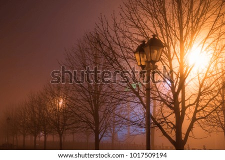 Fog in the city park at night by the light of street lamps during the thaw, street lamp close up