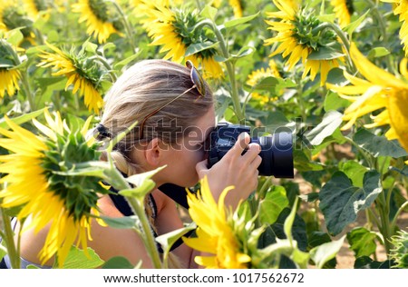 Woman taking photos of sunflower field with digital camera.
