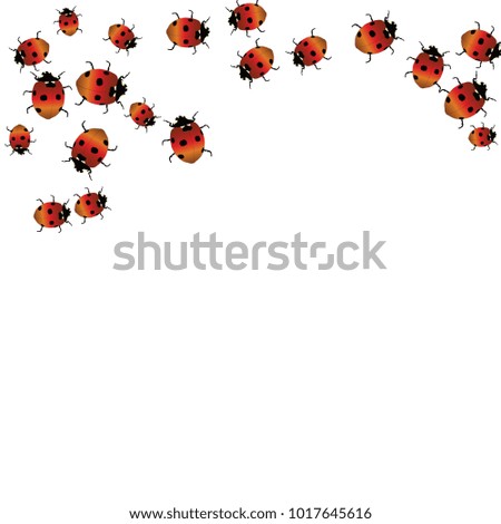 Delicate background with ladybugs. Trendy template for a postcard, stamp, banner or poster. Cute Ladybugs on a white background. Vector