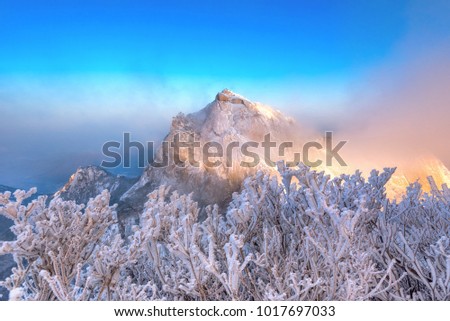 Bukhansan mountain in Winter landscape On a snow covered hill at Bukhansan National Park in Seoul, South Korea