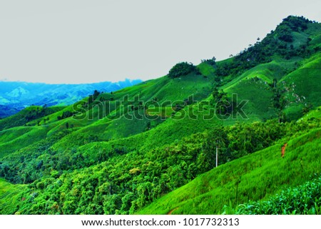 Green hill and Blue sky Royalty-Free Stock Photo #1017732313