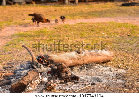 Fire on the dry ground, open space, rural communities, Southeast Asia, Laos, Thailand, Burma, Cambodia, Vietnam, Philippines.