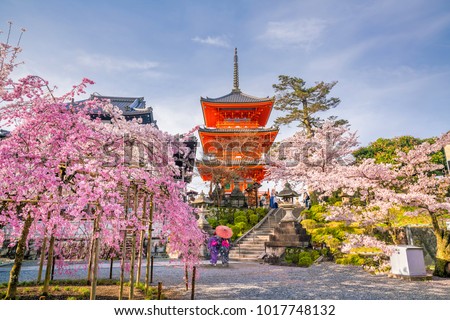 Kiyomizu-dera Temple and cherry blossom season (Sakura) spring time in Kyoto, Japan Royalty-Free Stock Photo #1017748132