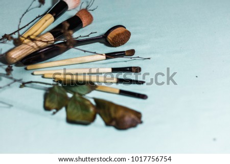 photo of professional make-up brushes