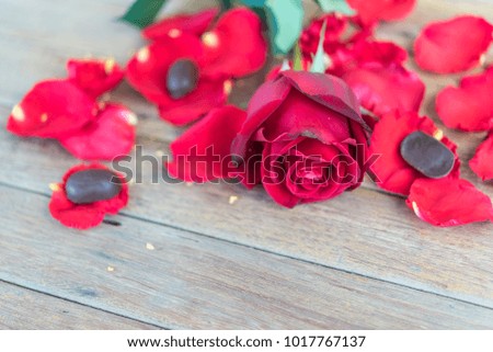 Red rose flower nature beautiful flowers from garden petal of red rose flower and chocolate for valentines on wooden floor with copy space in Valentine's Day, Wedding, Romantic Love Valentine concept