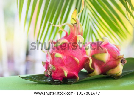 Fresh, tasty tropic, exotic dragon pitahya dragon fruit near palms