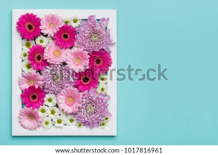 Picture frame filled with different gerberas and daisies. Happy Mother's Day, Women's Day, Valentine's Day or Birthday Pastel Candy Colors Background with copy space. 