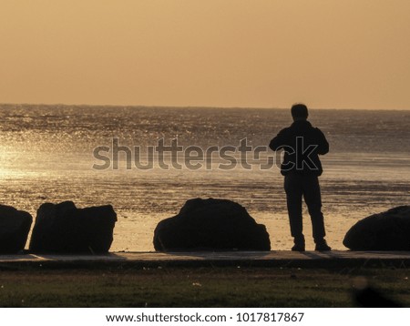 Rear view of a man admiring the sunset on the beach