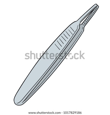 vector of forcep