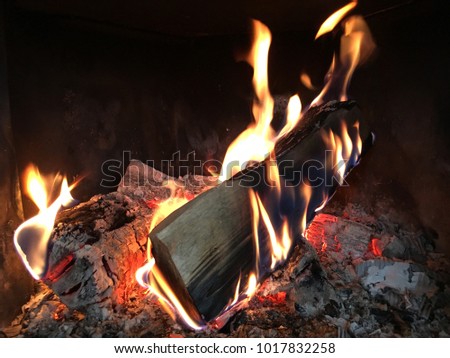 Fireplace and burning wood