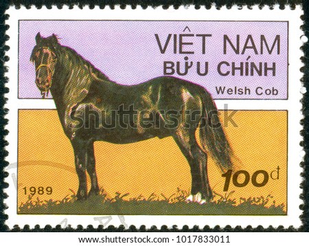 Ukraine - circa 2018: A postage stamp printed in Vietnam show horse of the breed Welsh Cob or Equus ferus caballus. Series: Horses. Circa 1989.