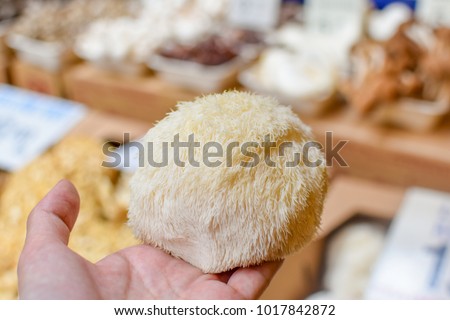 Holding a big white pom pom Lion's mane mushroom at the market in San Francisco
