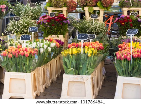 Bunches of tulips, asters, decorative kale, hydrangea, poppies, roses and eucalyptus for sale in the flower market in Aix en Provence France.