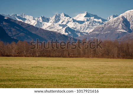 Panoramic view of a meadow with snow-capped mountains in the background
