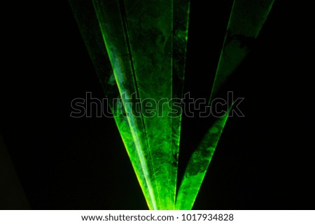 neon music green color rays on black background in music festival time