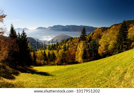View from Pokljuka Plateau, Slovenia. Royalty-Free Stock Photo #1017951202