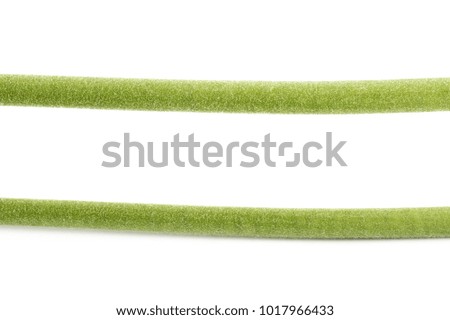 Close-up fragment of a green flower's stem isolated over the white background , set of several different foreshortenings