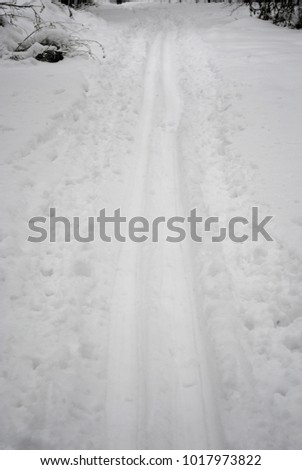 ski track on the white snow