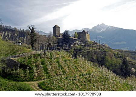 Dorf Tirol, South Tirol, ITALY – April 2, 2012: Schloss Tirol (Castel  Tirolo), a  medieveal castle in the middle of lush vegetation and apple plantations hosts an museum
