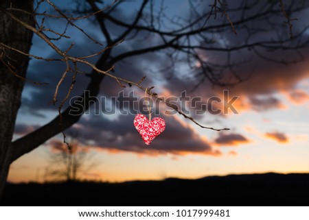 Valentine postcard or wallpaper: Red heart in nature, beautiful photo, sunset sky,