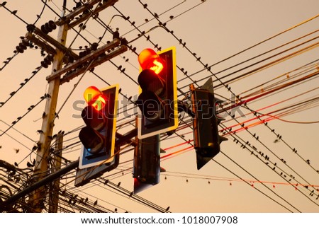 many birds holding on wired. Red traffic light with electric wire background