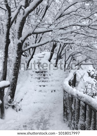 Landscape picture of Plitvice Waterfalls and National Park, Croatia in the snow