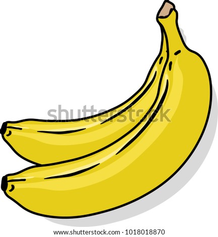 double banana vector illustration,  two bananas isolated on a white background, with a subtle shadow 
