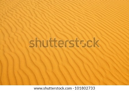 Sand pattern in the white dunes of Mui Ne in Vietnam