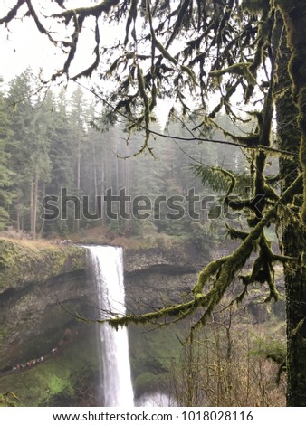 Forest waterfall in Oregon