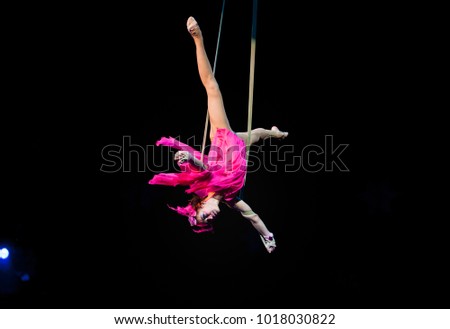 air gymnast in a circus